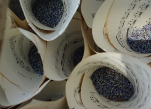 lavanda per matrimonio