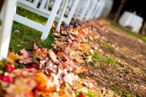 tappeto foglie secche per cerimonia in autunno